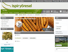 Tablet Screenshot of ispiryoresel.com